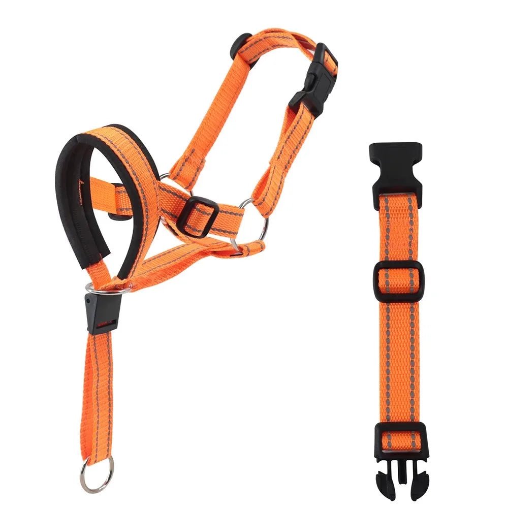 Laisse museau pour chien orange