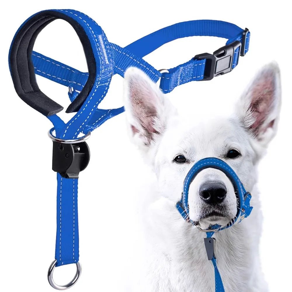 Laisse museau pour chien bleu