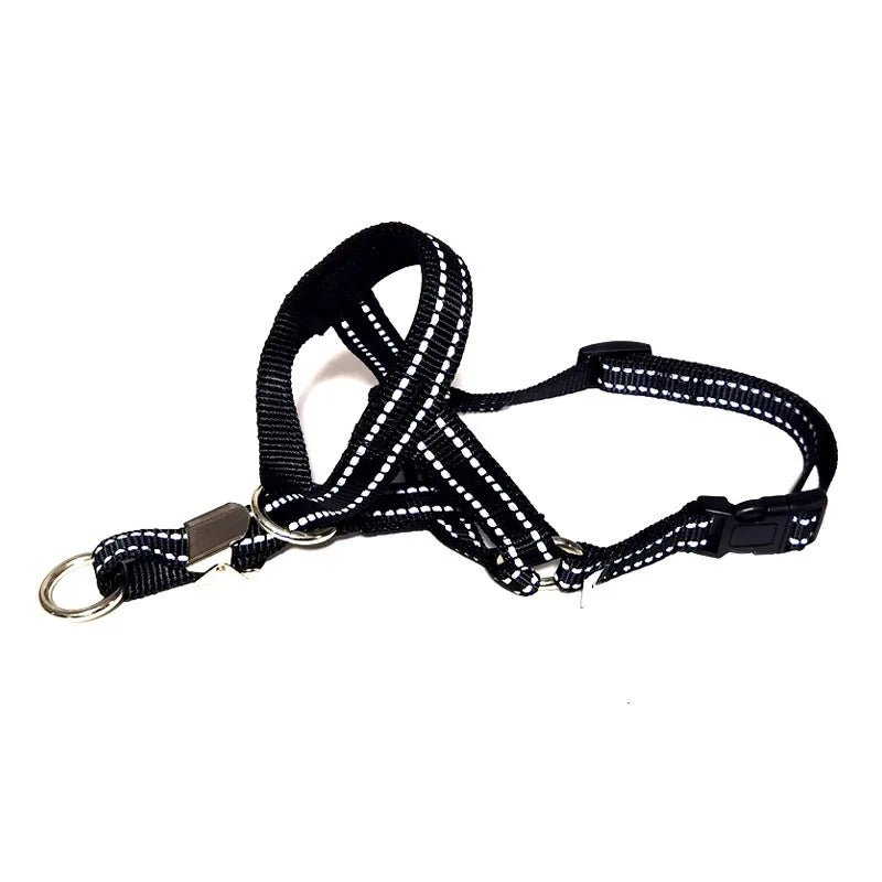 Laisse museau pour chien noir