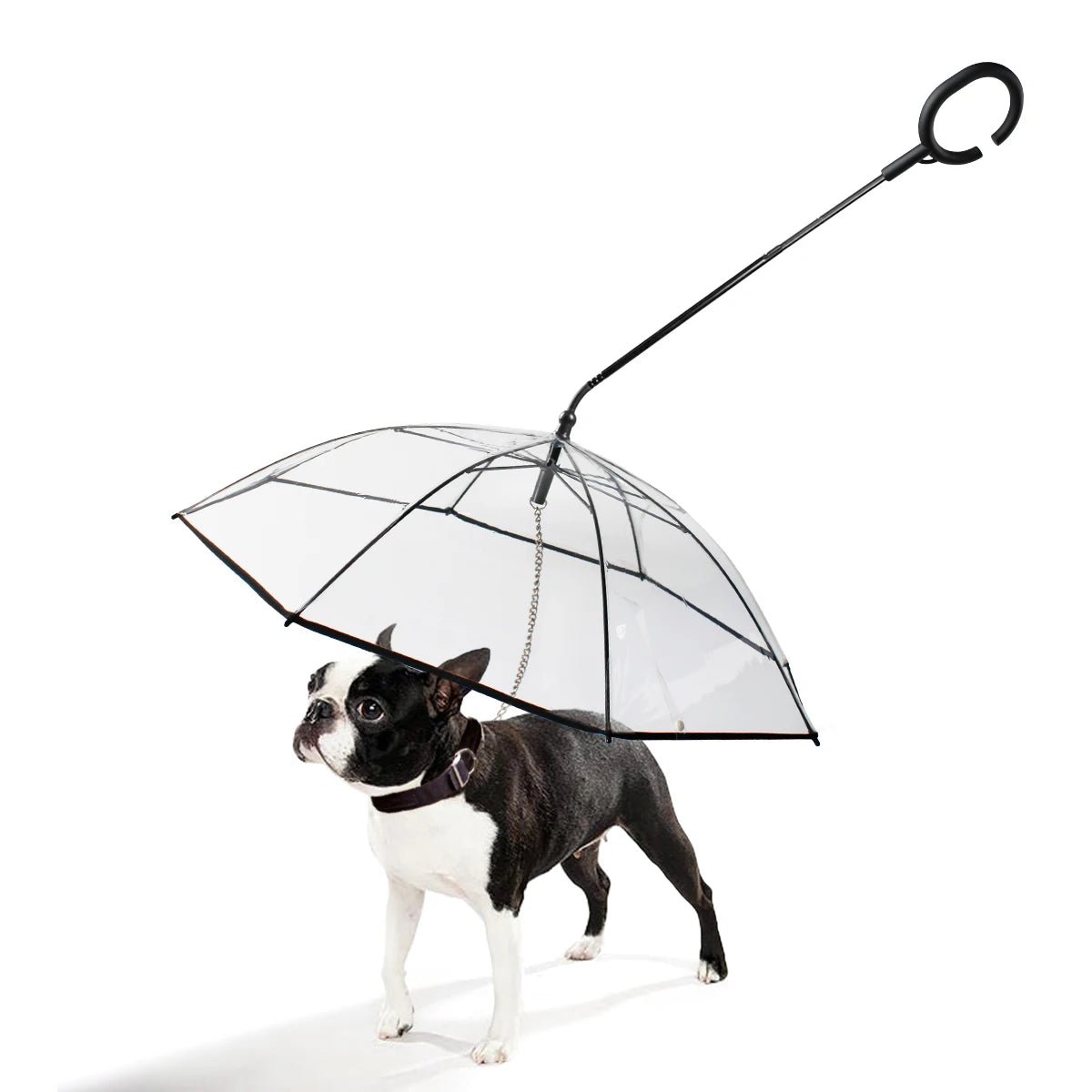 Laisse parapluie pour chien avec angle 