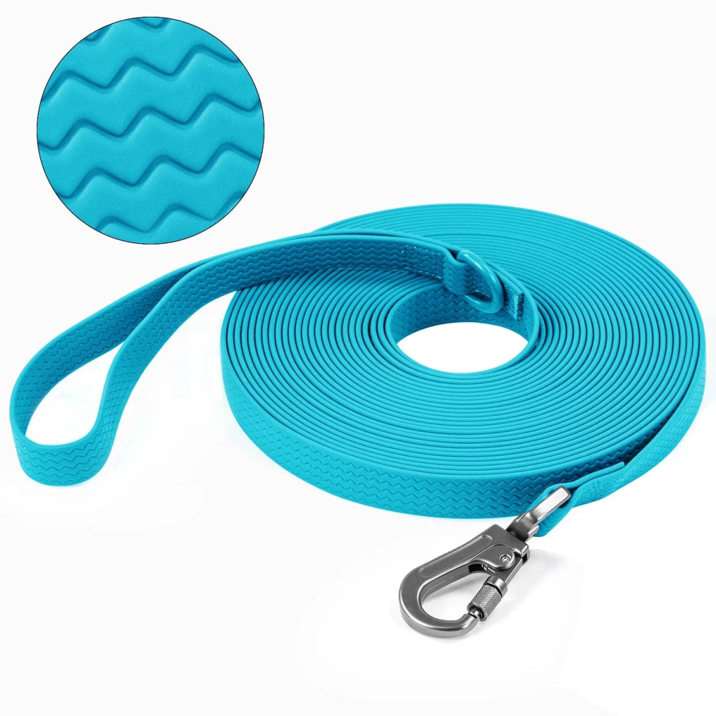 Laisse pour chien 10m bleu