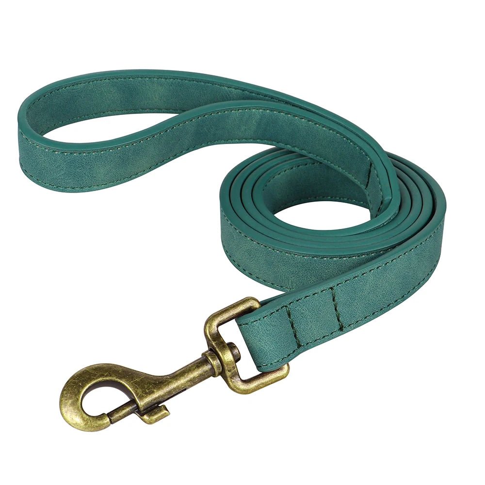 Laisse pour chien cuir bleu turquoise 