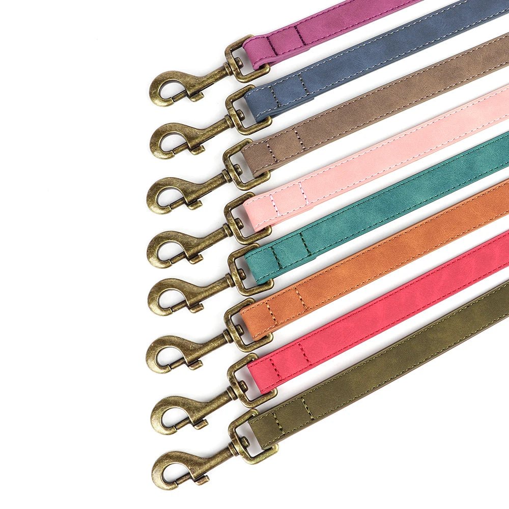 Laisse pour chien cuir attaches