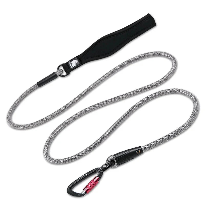 Laisse pour chien de chasse blanc