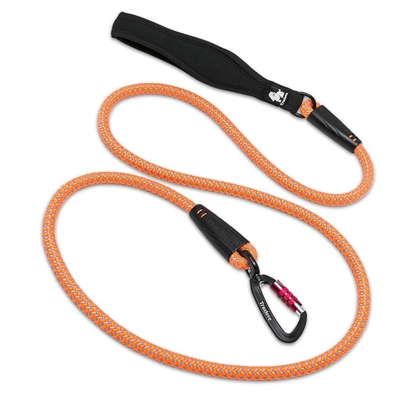 Laisse pour chien de chasse orange