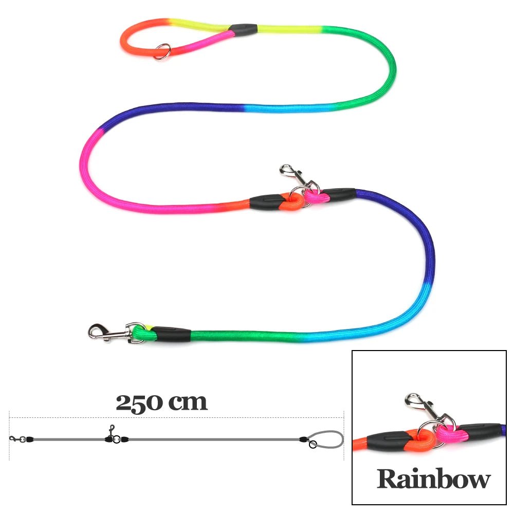 Laisse pour chien en nylon arc en ciel et taille