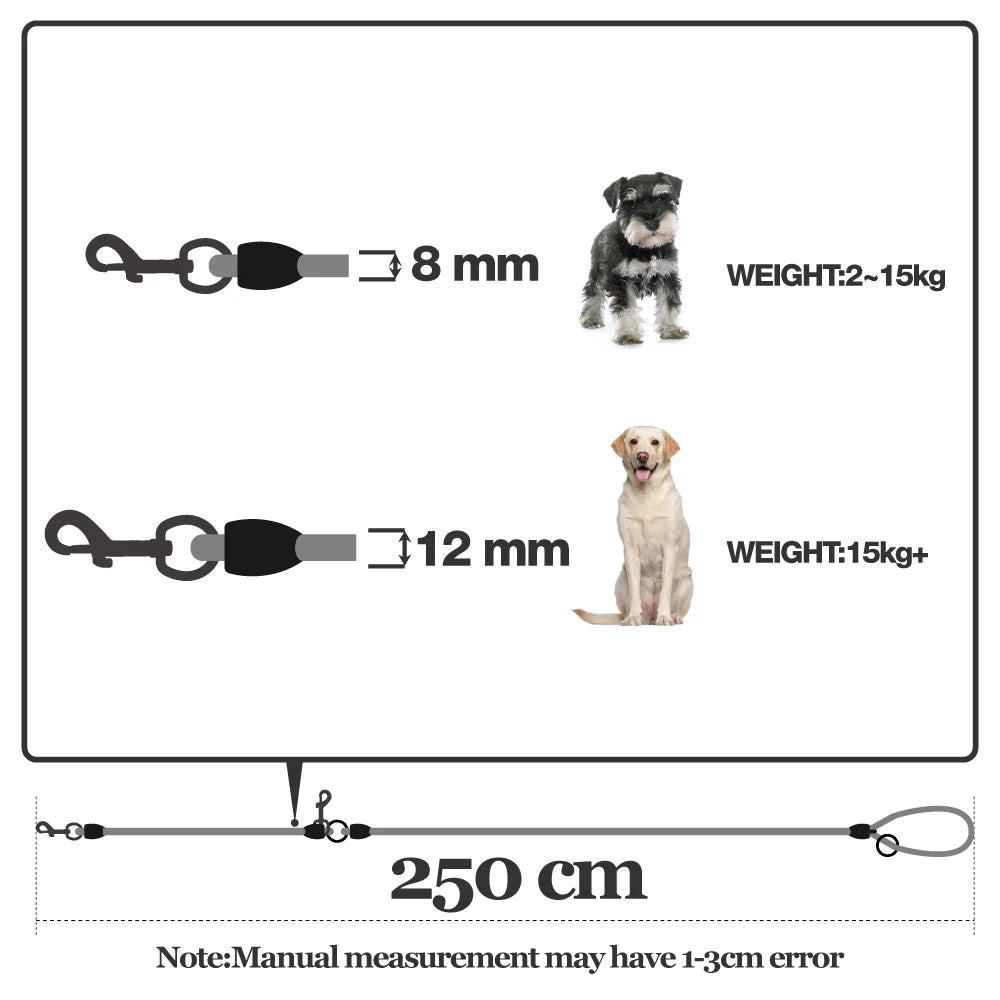 Laisse pour chien en nylon explication des tailles de laisse