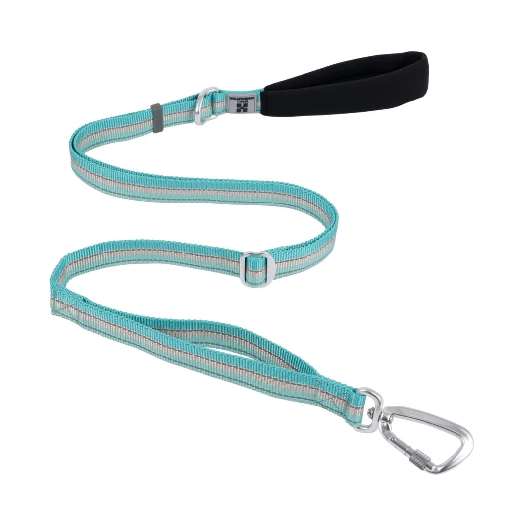 Laisse pour chien fluo bleu