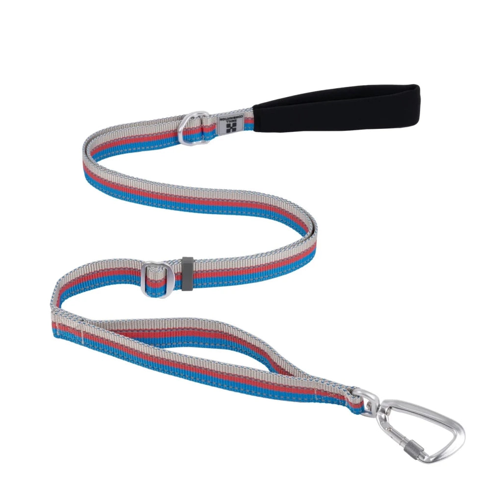 Laisse pour chien fluo bleu et gris