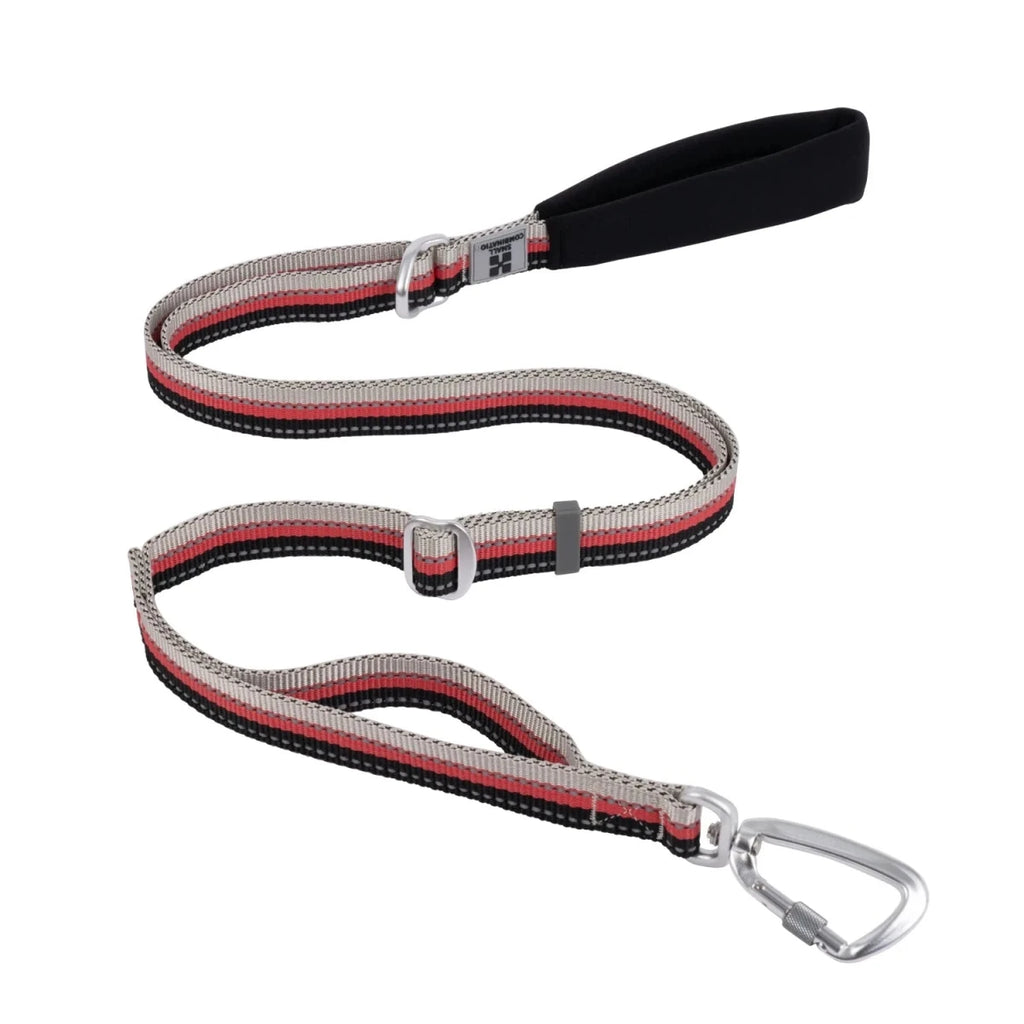 Laisse pour chien fluo noir