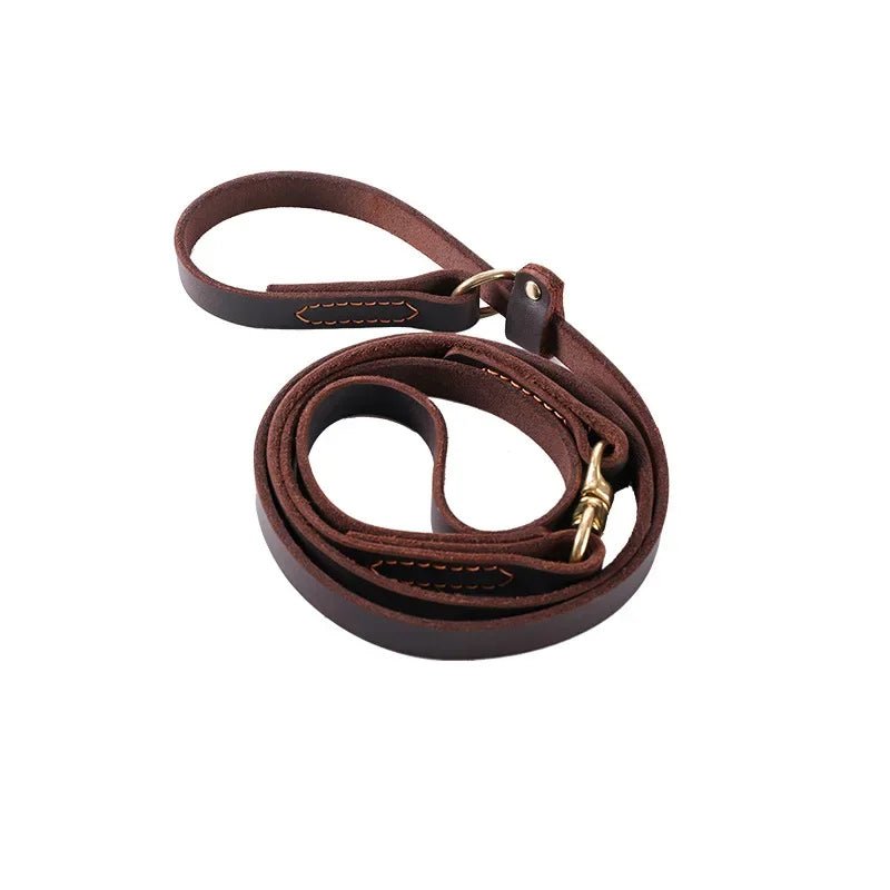 Laisse pour chien husky brun