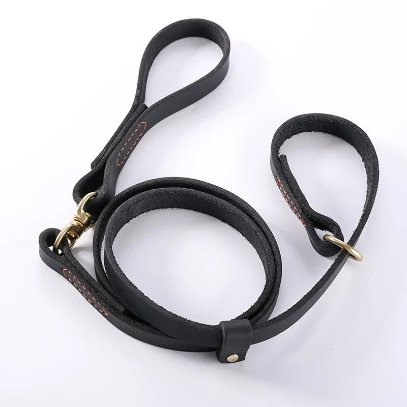 Laisse pour chien husky noir