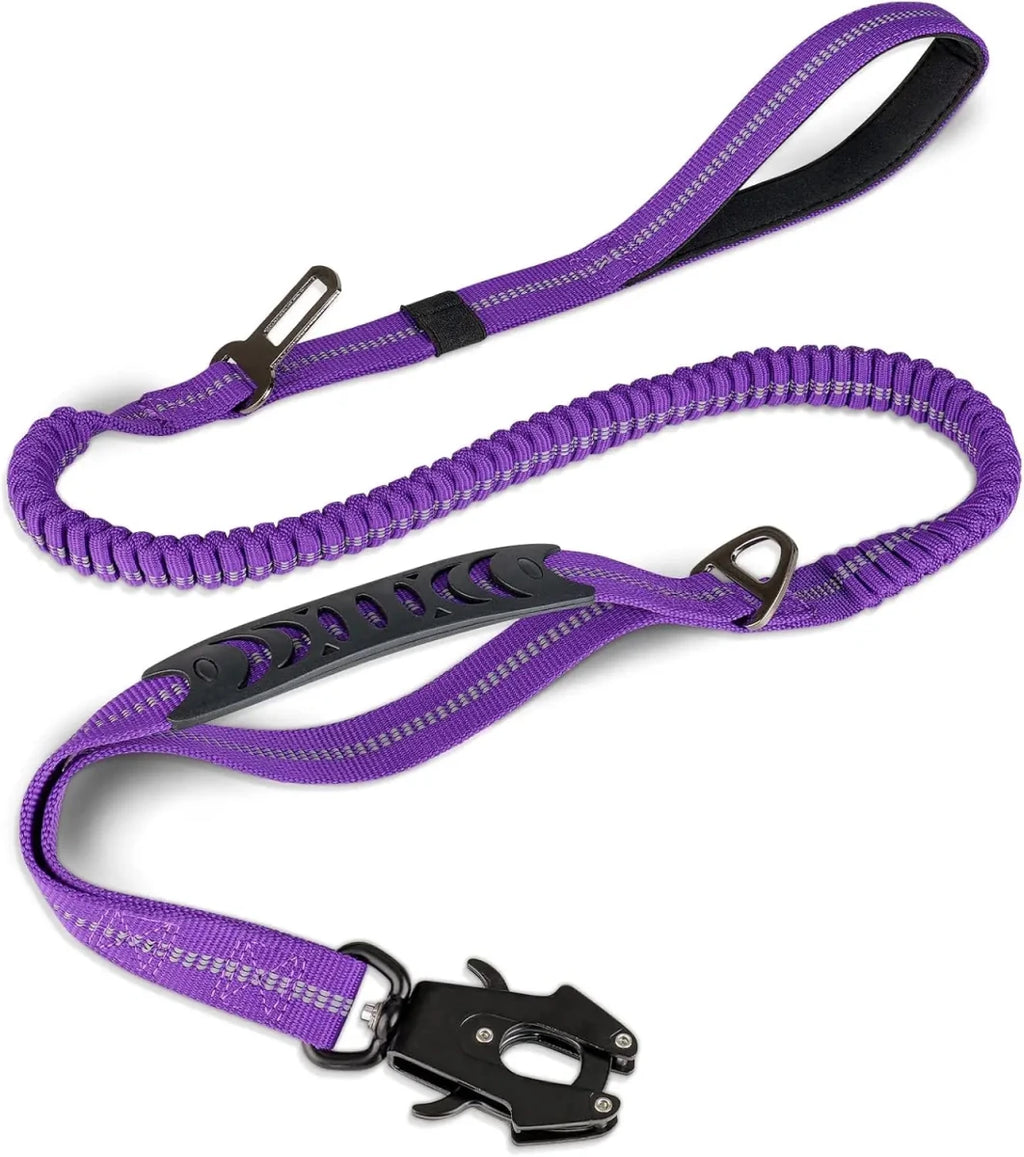 Laisse pour chien indestructible violet
