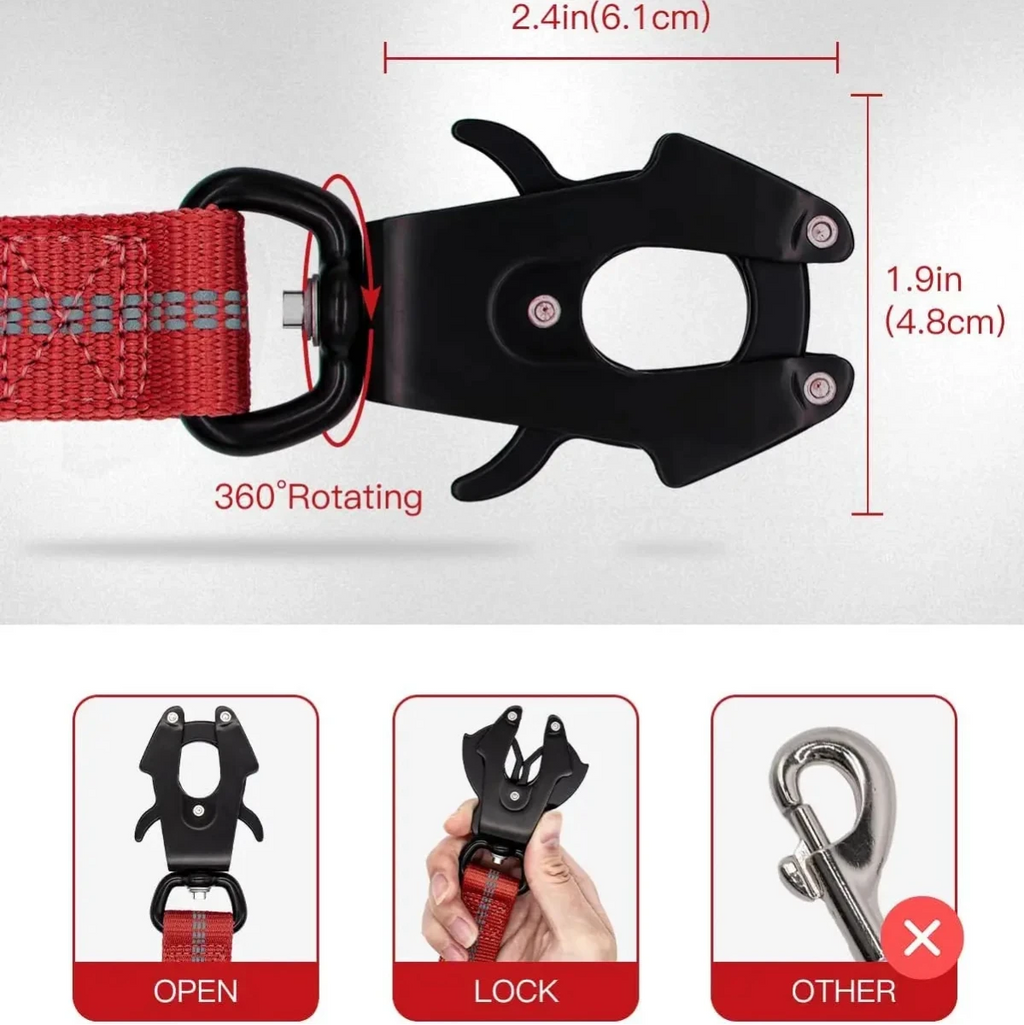 Laisse pour chien indestructible dimensions et avantages 