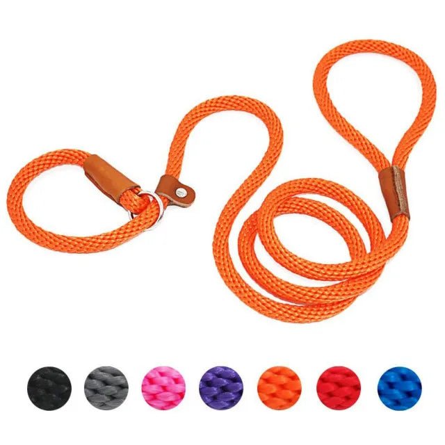 laisse lasso orange pour chien fabriqué en nylon résistant. Parfait pour les promenades avec tout les chiens. Image produit Boutiquechien 