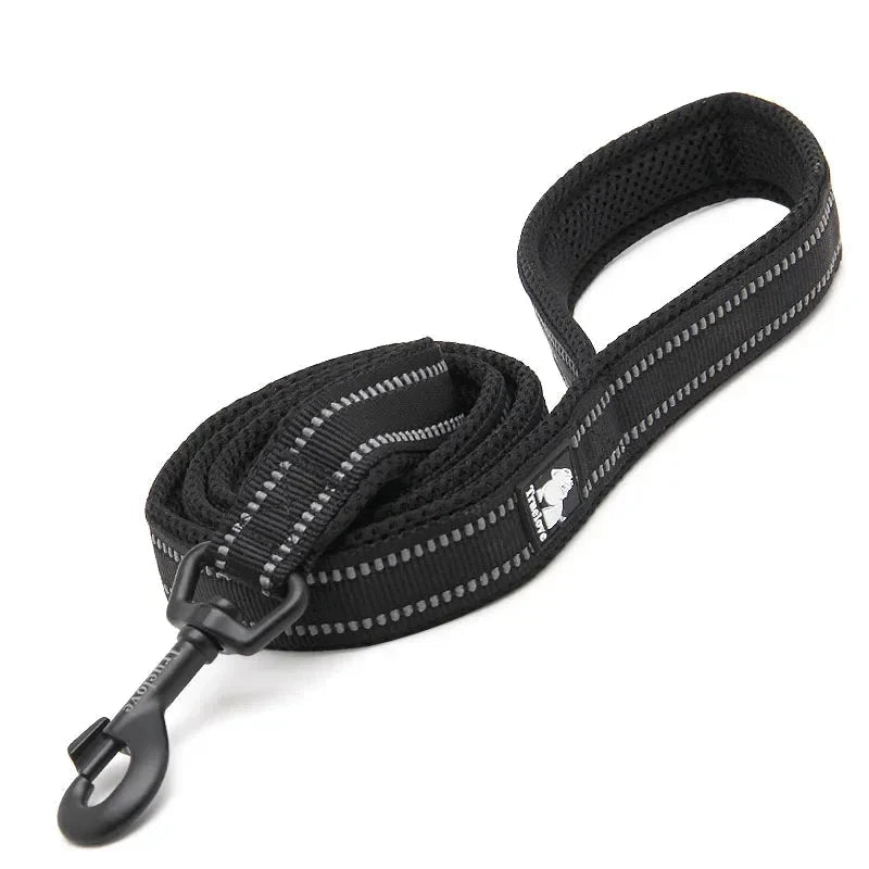 Laisse pour chien noir