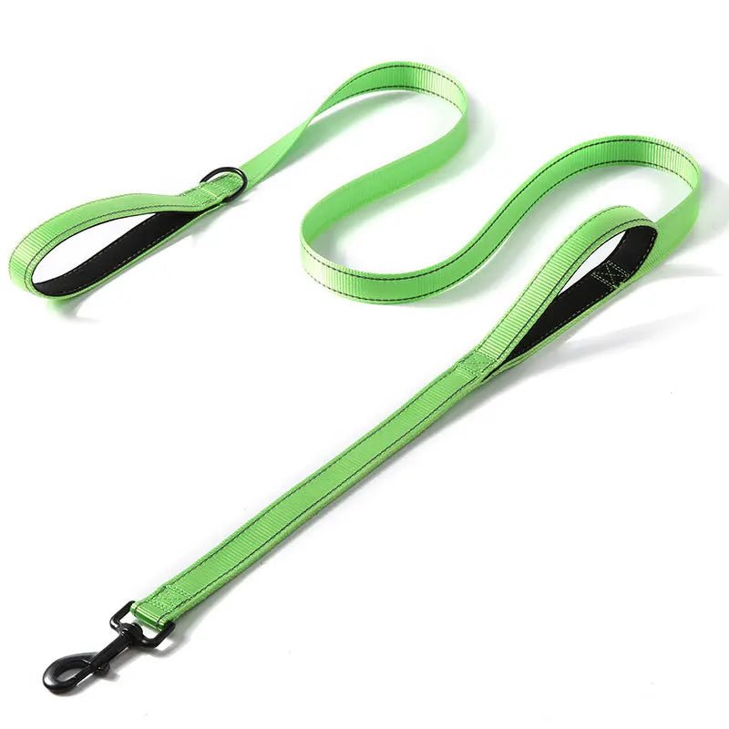 Laisse pour chien puissant vert