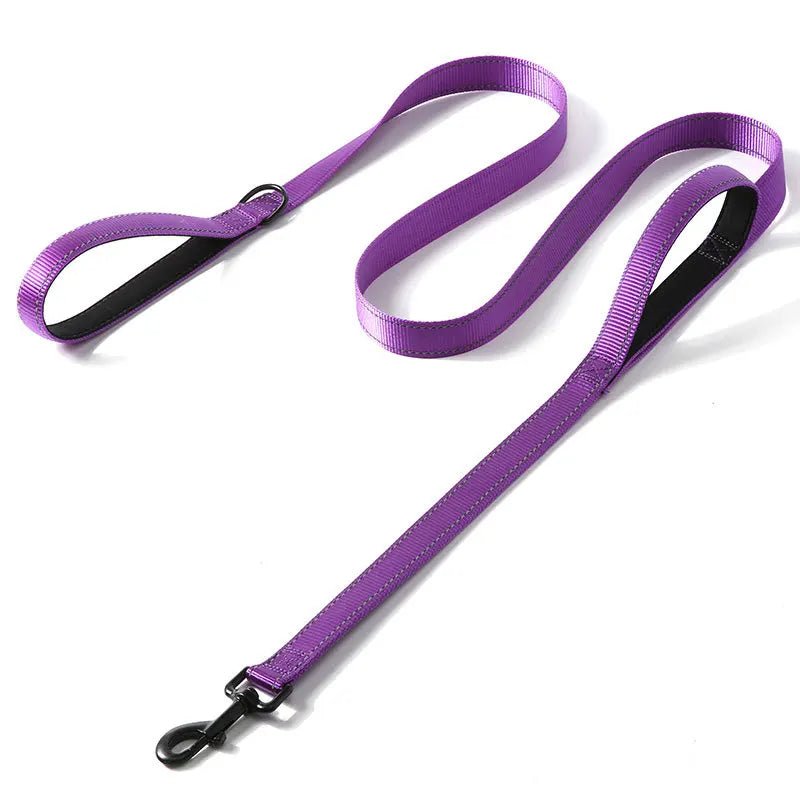 Laisse pour chien puissant violet