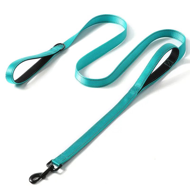 Laisse pour chien puissant bleu fuchsia