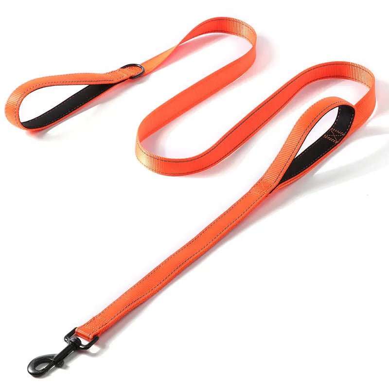 Laisse pour chien puissant orange