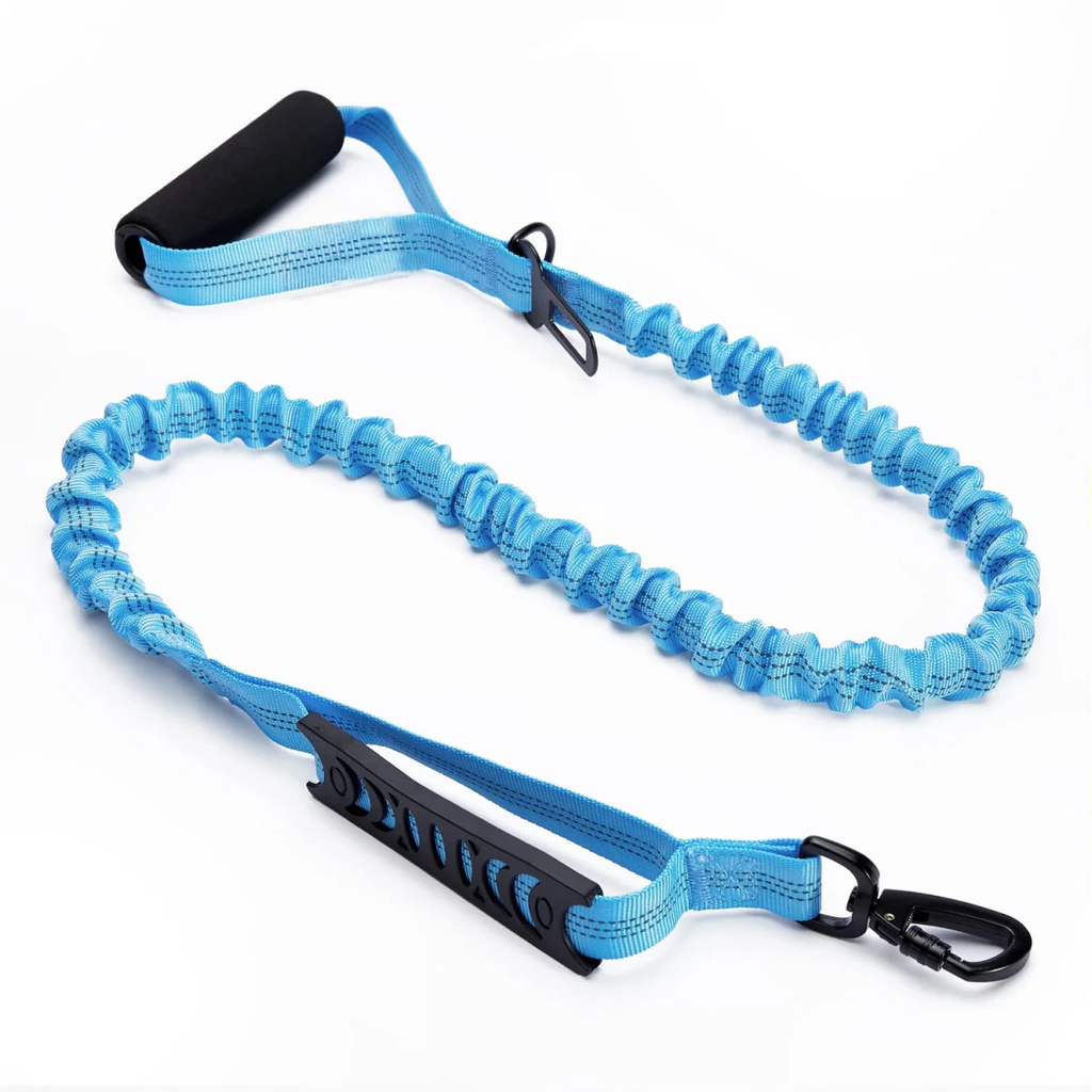 Laisse pour chien retractable  bleu