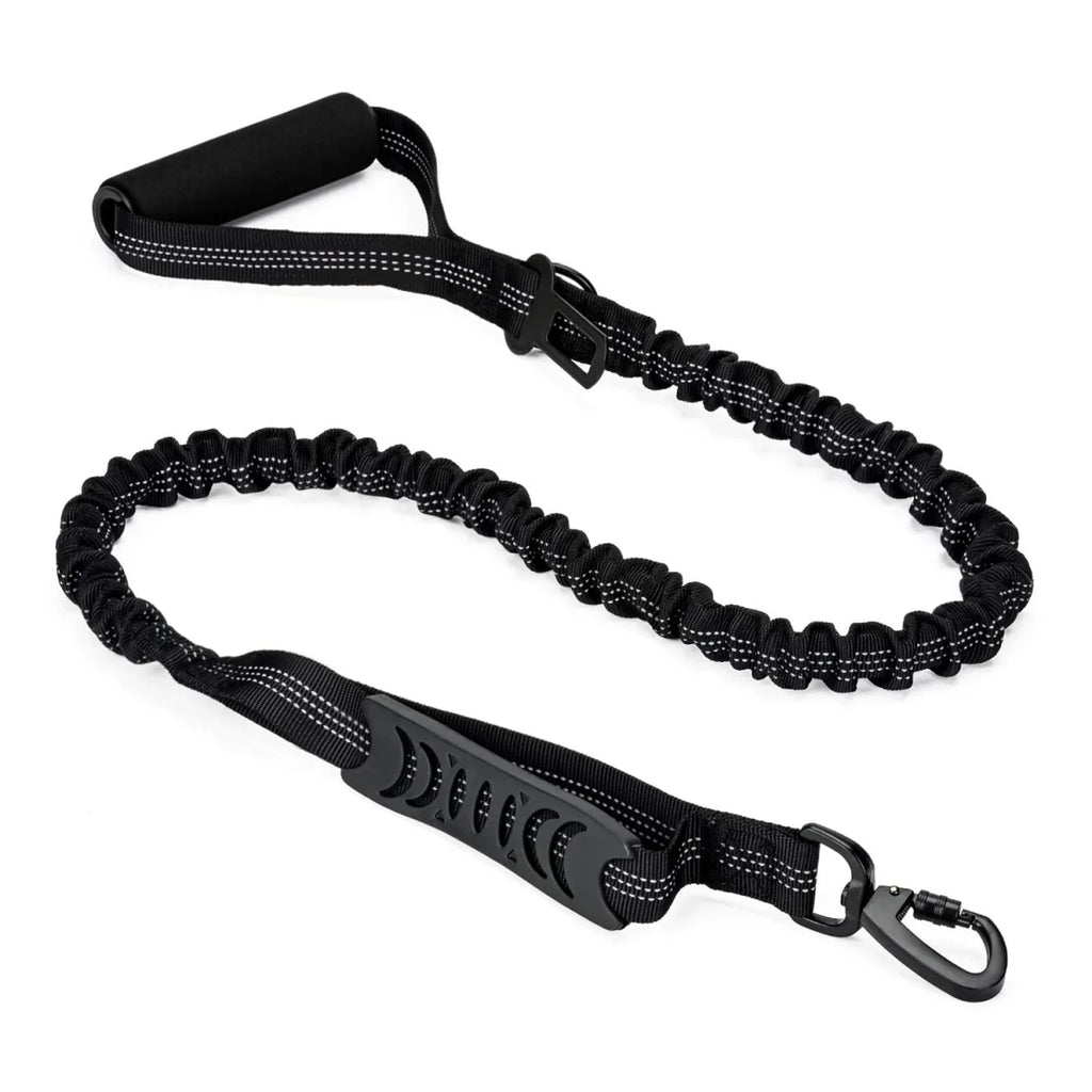 Laisse pour chien retractable noir