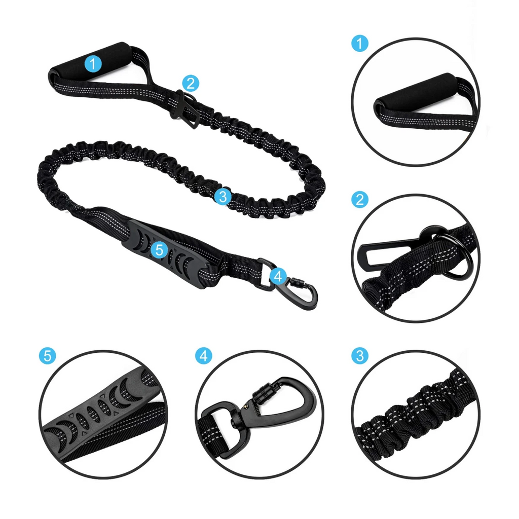 Laisse pour chien retractable  avantages produit 