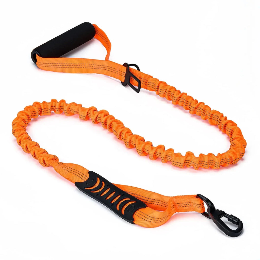 Laisse pour chien retractable  orange