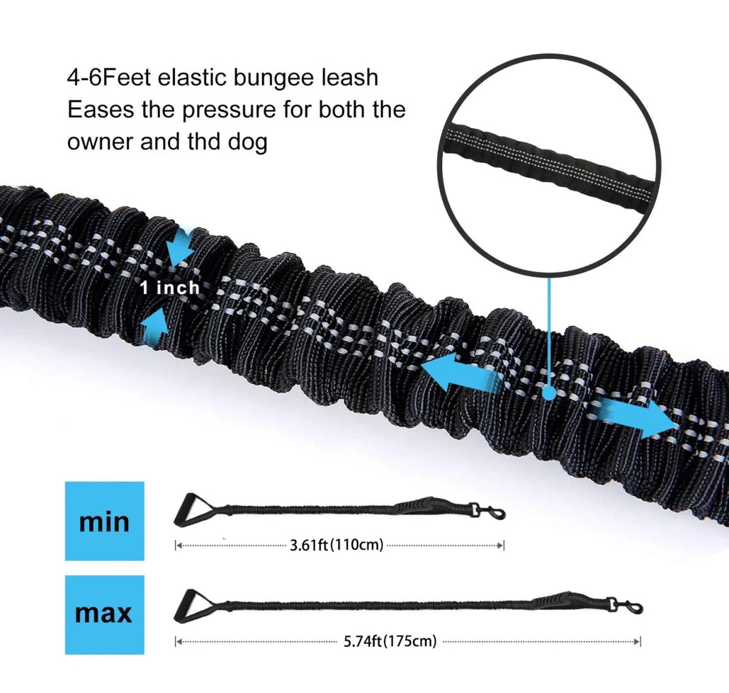 Laisse pour chien retractable  élastique 