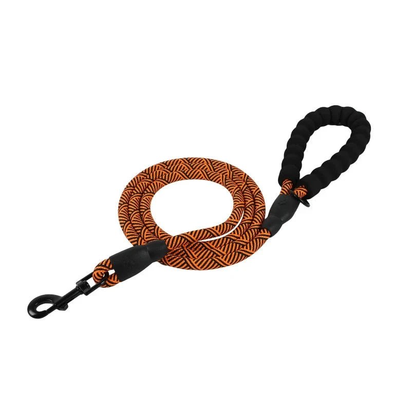 Laisse pour chien rottweiler