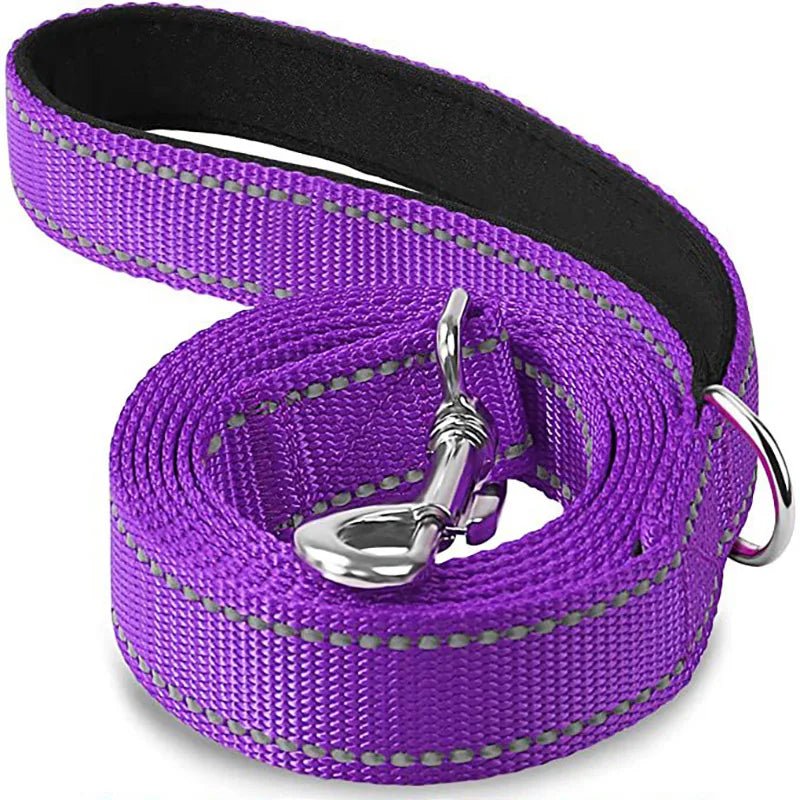 Laisse pour chien spitz nain violet 