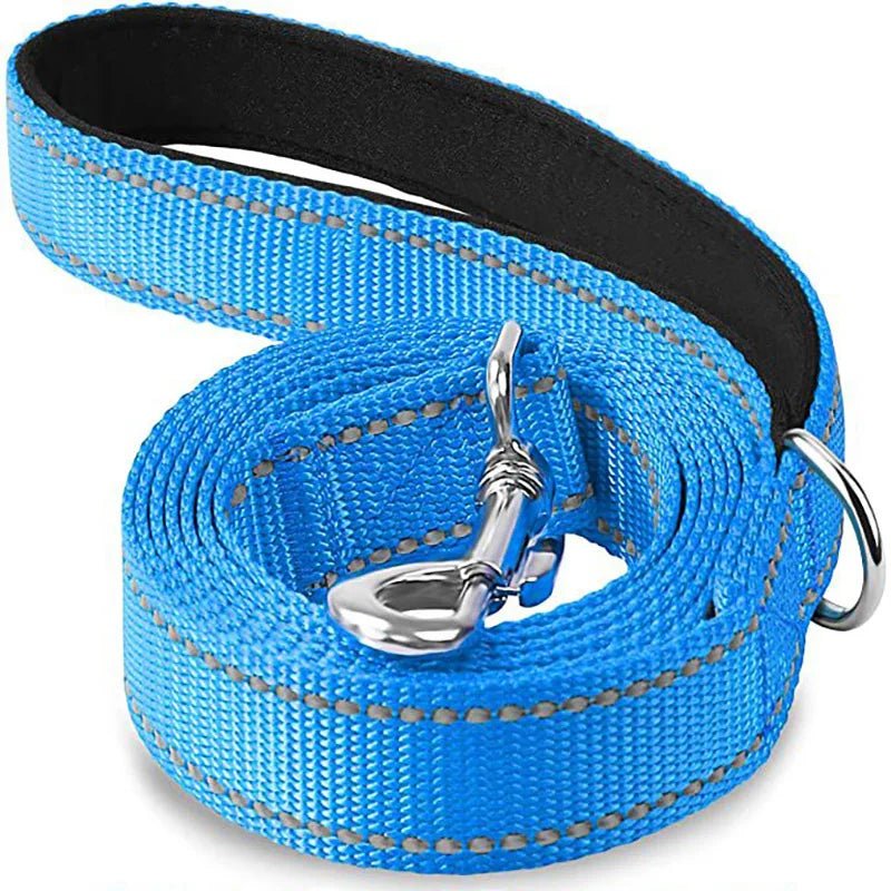 Laisse pour chien spitz nain bleu claire