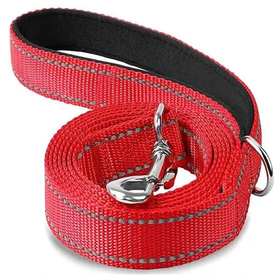 Laisse pour chien spitz nain rouge