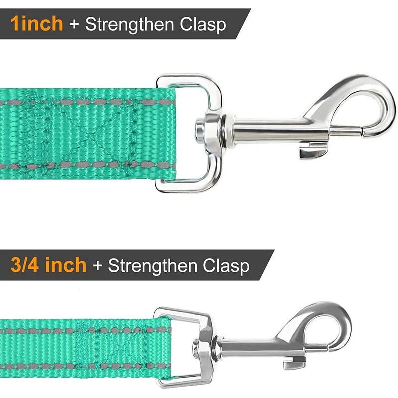 Laisse pour chien spitz nain attache laisse 