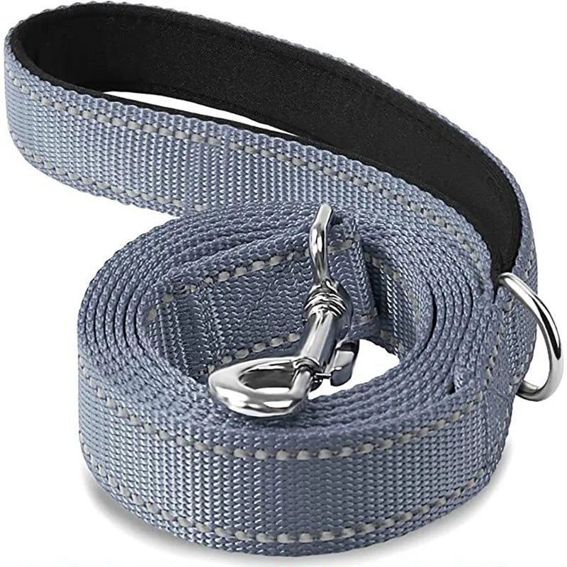 Laisse pour chien spitz nain gris