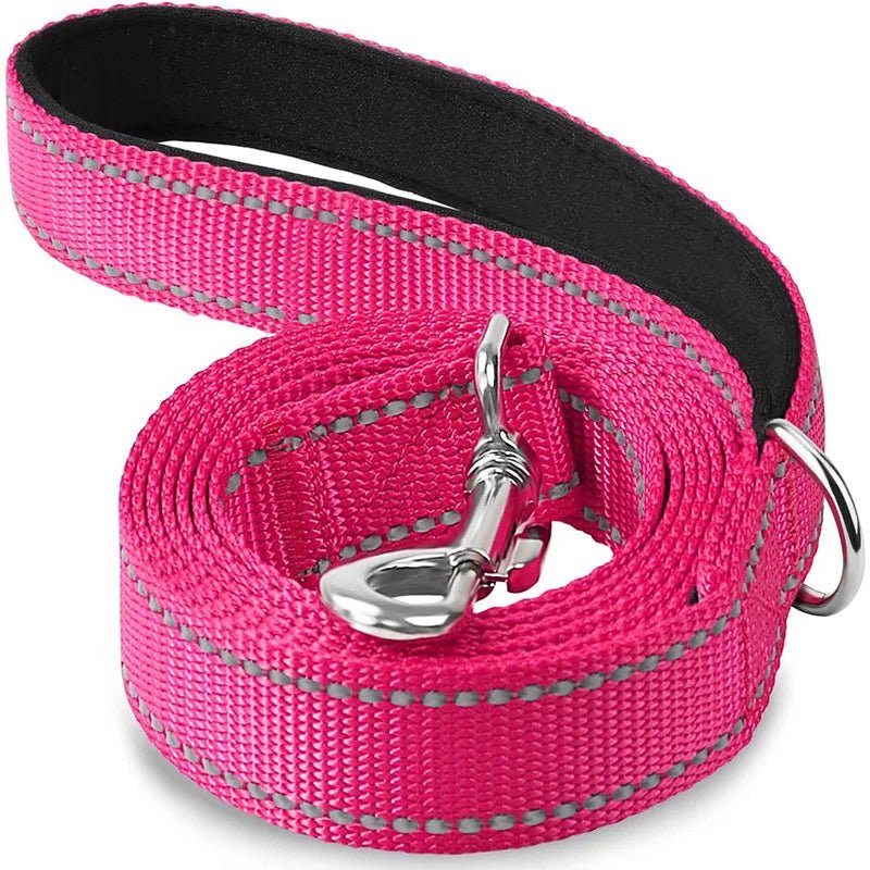 Laisse pour chien spitz nain rose fluo 