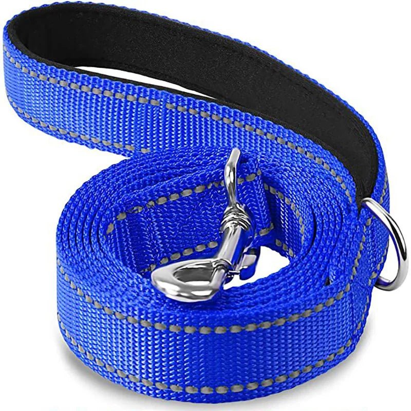 Laisse pour chien spitz nain bleu fonce 