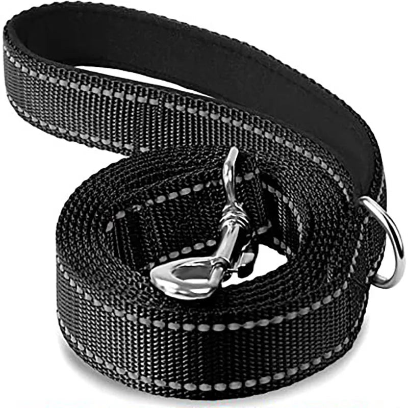 Laisse pour chien spitz nain noir 