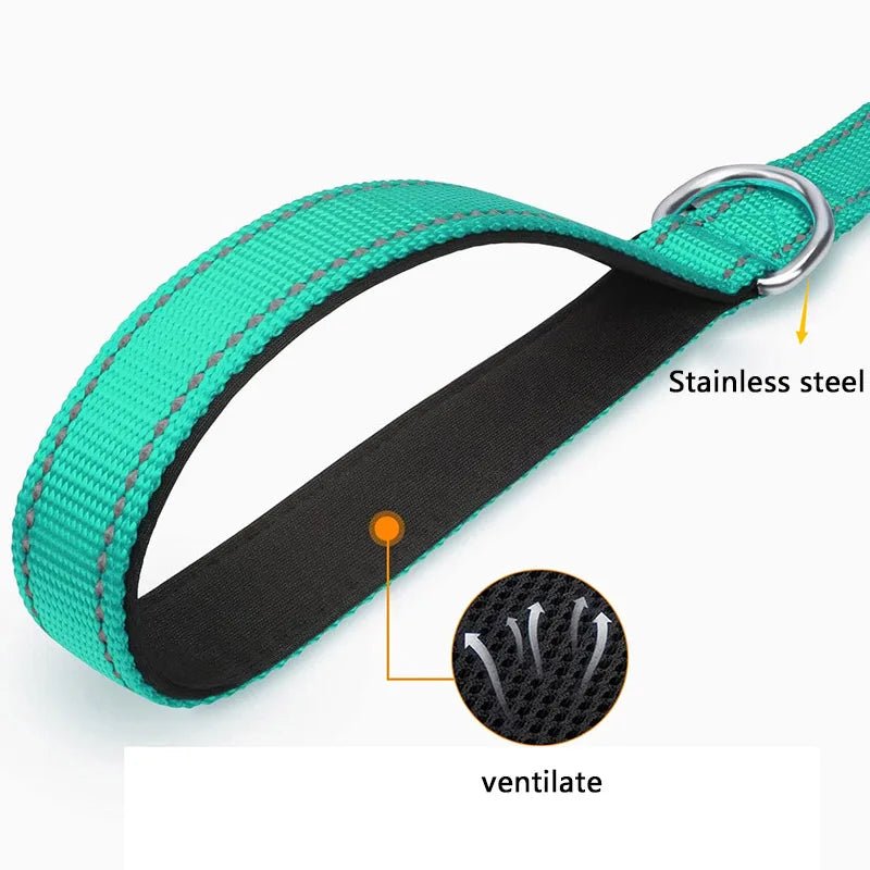 Laisse pour chien spitz nain poignee
