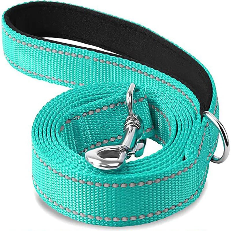 Laisse pour chien spitz nain cyan