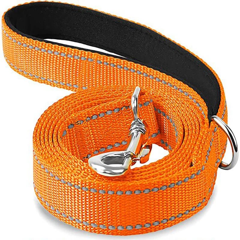 Laisse pour chien spitz nain orange