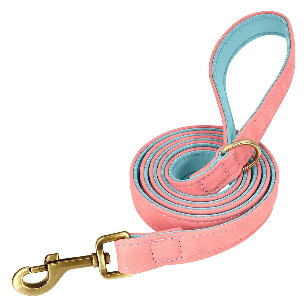 Laisse pour chiot chihuahua rose et bleu