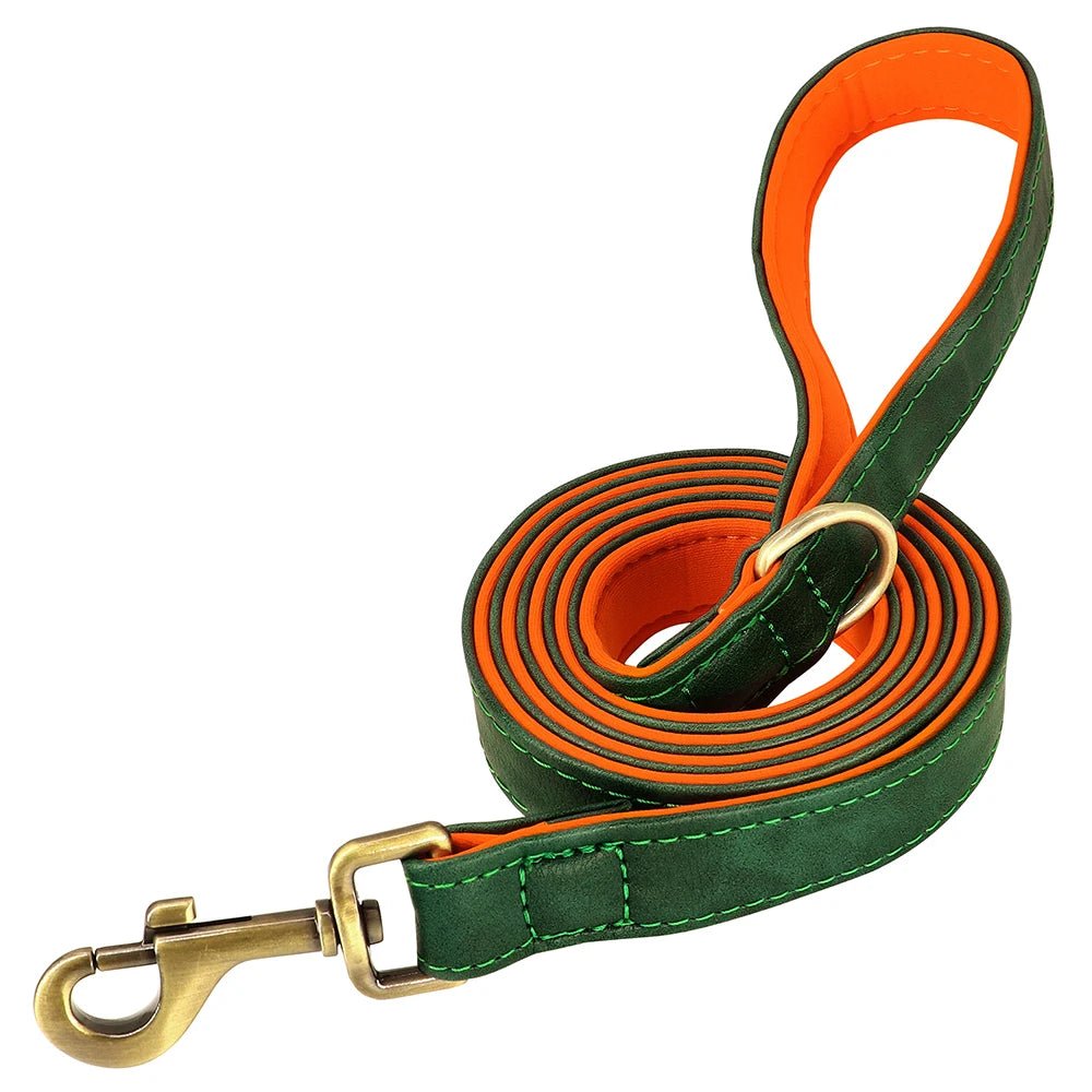 Laisse pour chiot chihuahua vert et orange