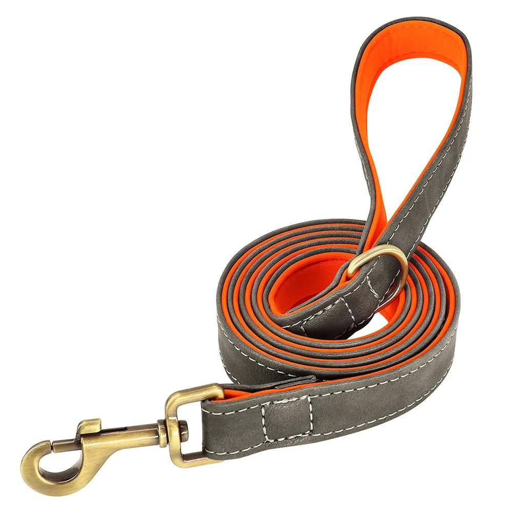 Laisse pour chiot chihuahua brun et orange 