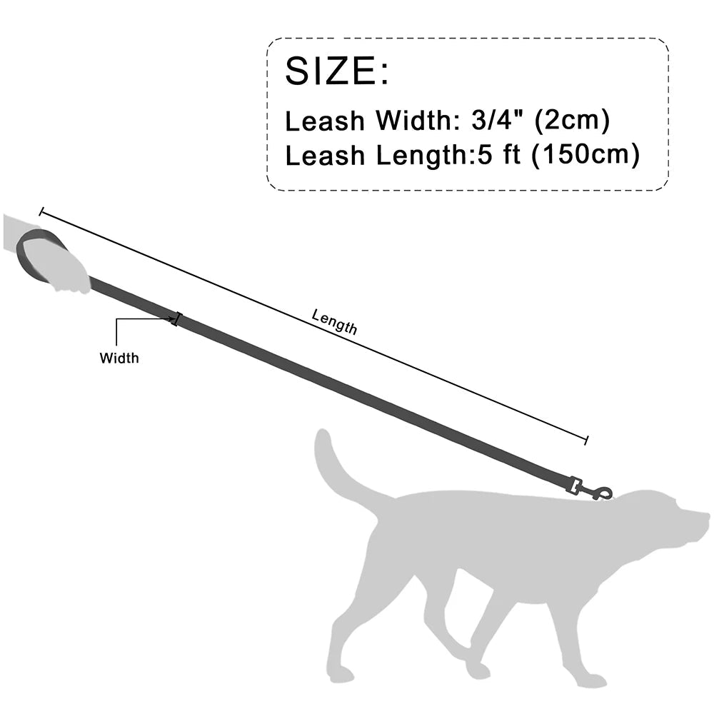Laisse pour chiot chihuahua dimensions 