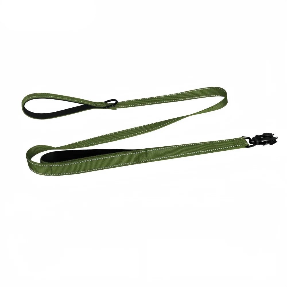 Laisse pour chiot golden retriever kaki