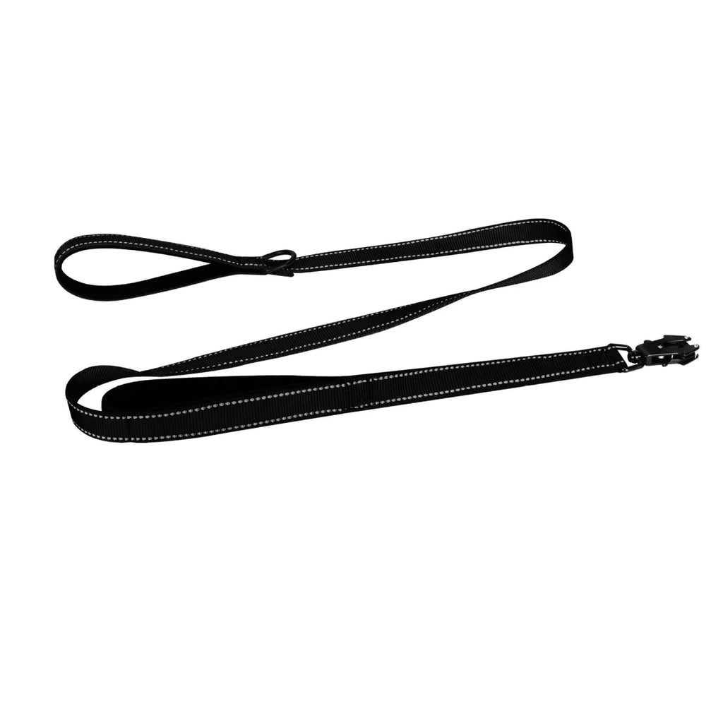 Laisse pour chiot golden retriever noir