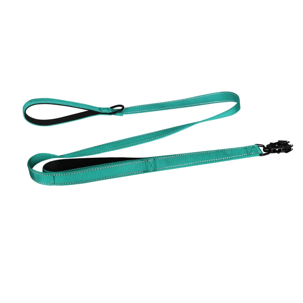 Laisse pour chiot golden retriever turquoise