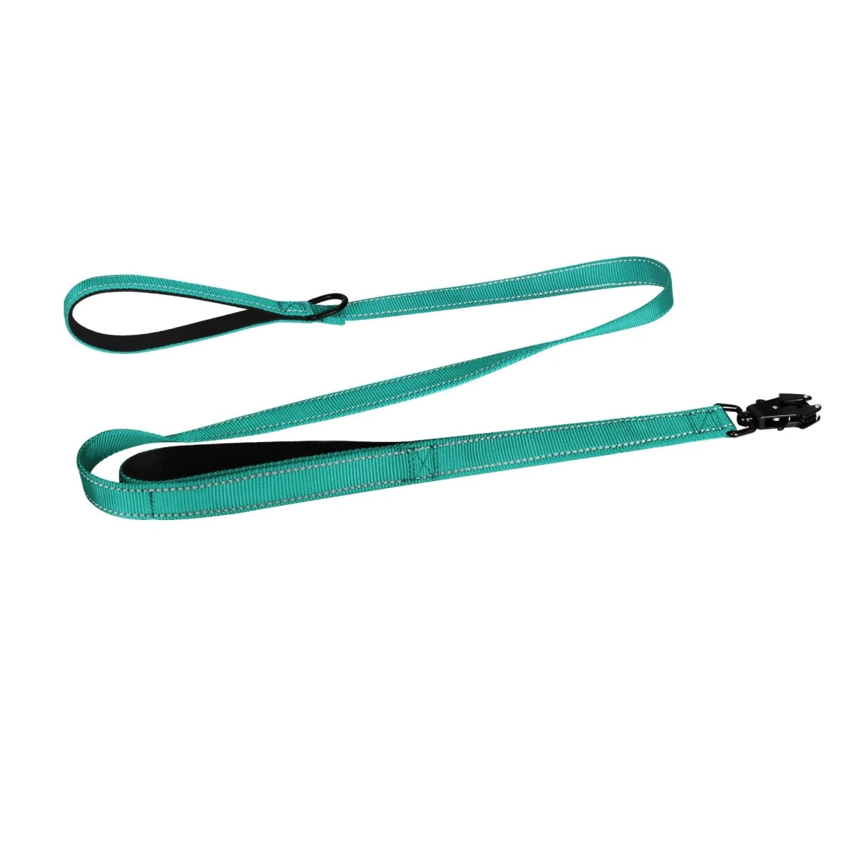Laisse pour chiot golden retriever turquoise