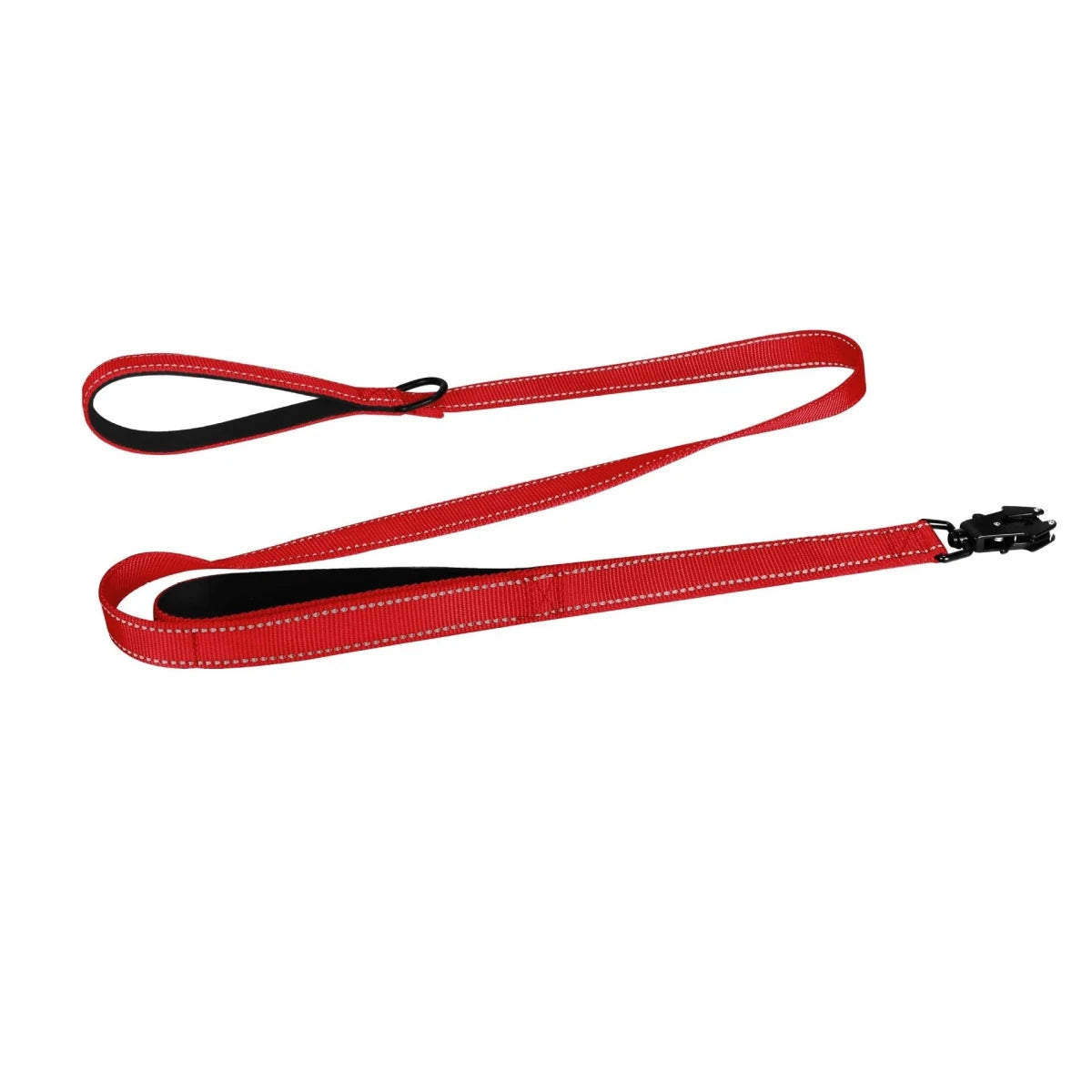 Laisse pour chiot golden retriever rouge